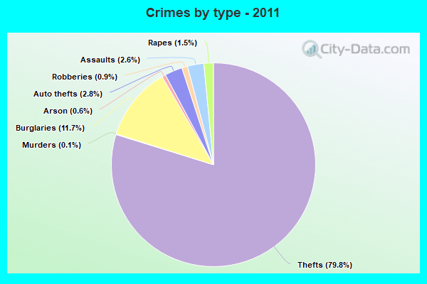 Crimes by type - 2011