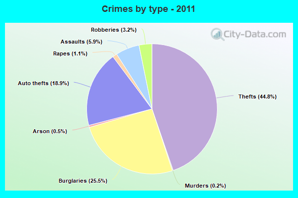 Crimes by type - 2011