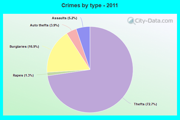 Crimes by type - 2011