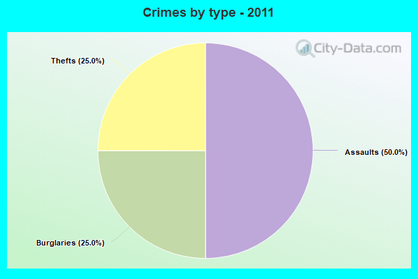 Crimes by type - 2011