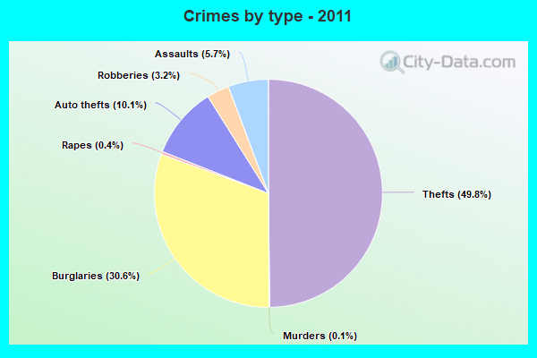 Crimes by type - 2011