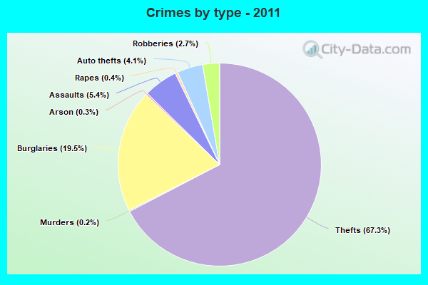 Crimes by type - 2011