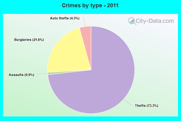 Crimes by type - 2011