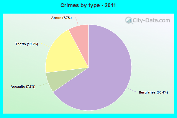 Crimes by type - 2011