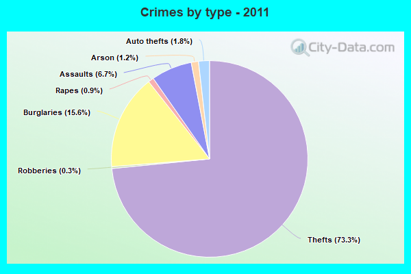 Crimes by type - 2011