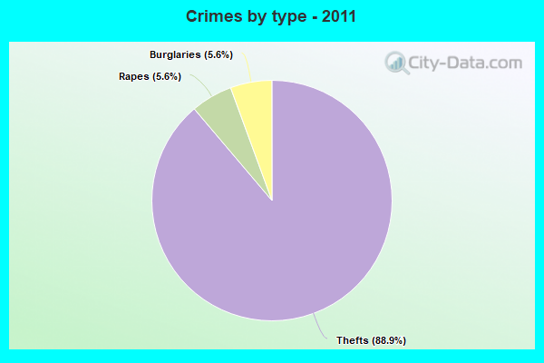 Crimes by type - 2011