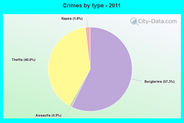 Crimes by type - 2011