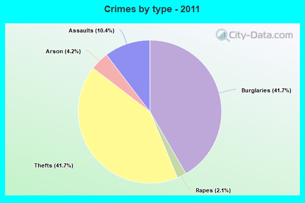 Crimes by type - 2011