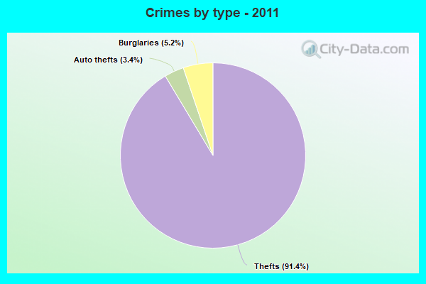 Crimes by type - 2011