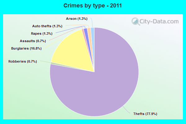 Crimes by type - 2011