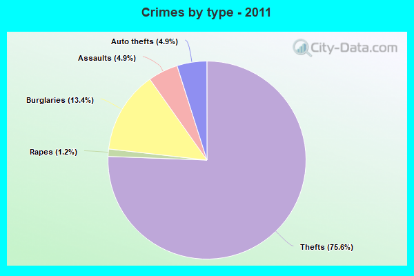 Crimes by type - 2011