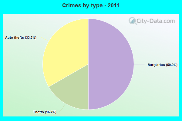 Crimes by type - 2011