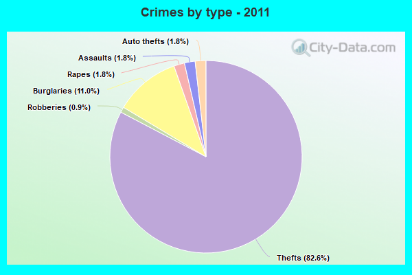 Crimes by type - 2011