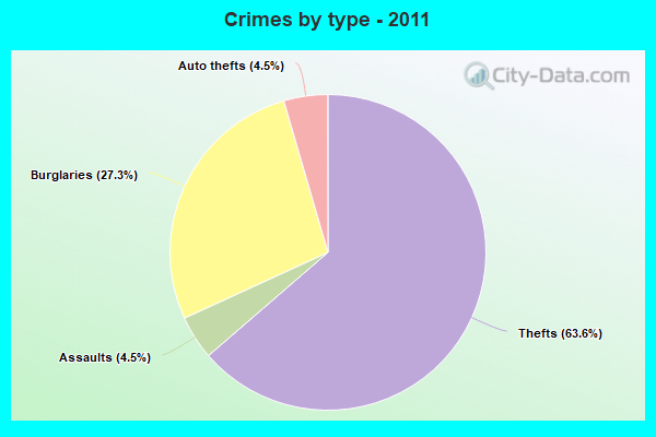 Crimes by type - 2011