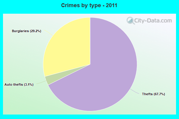 Crimes by type - 2011