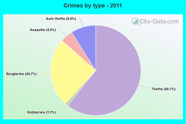 Crimes by type - 2011