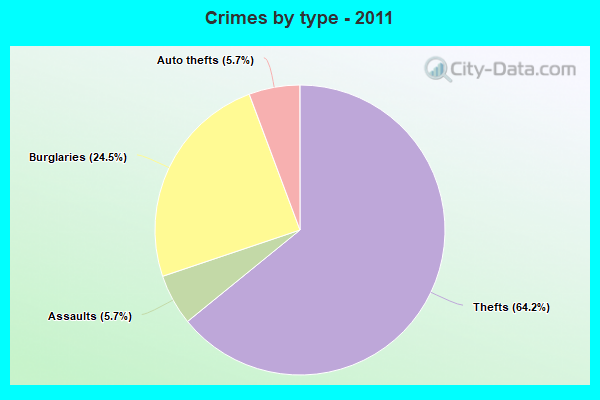 Crimes by type - 2011