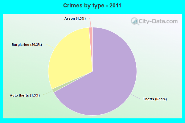 Crimes by type - 2011