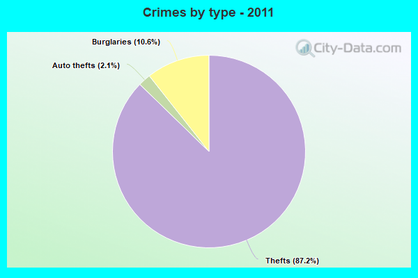 Crimes by type - 2011