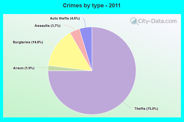 Crimes by type - 2011