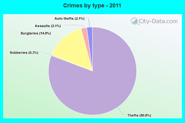 Crimes by type - 2011