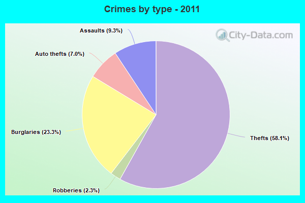 Crimes by type - 2011