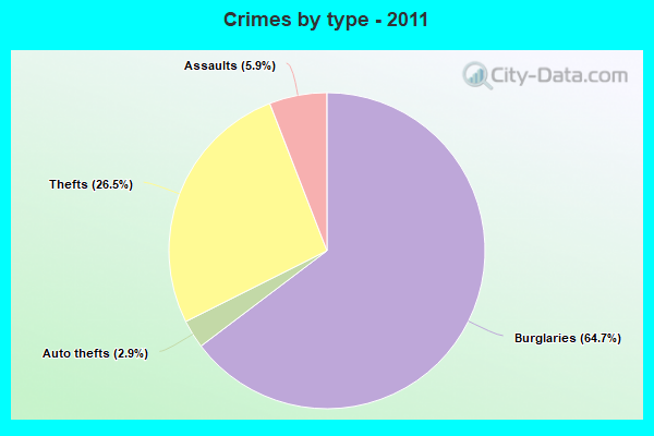 Crimes by type - 2011