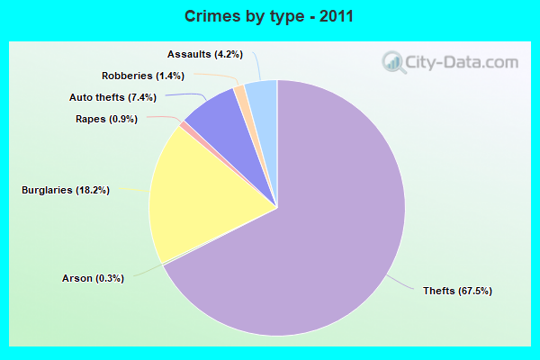 Crimes by type - 2011