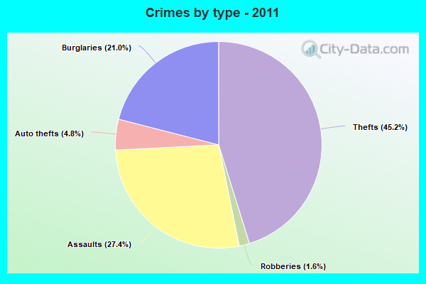 Crimes by type - 2011