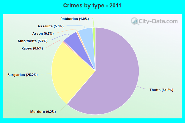 Crimes by type - 2011