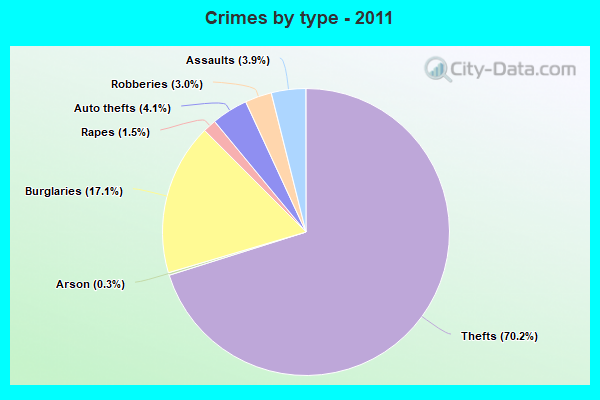 Crimes by type - 2011