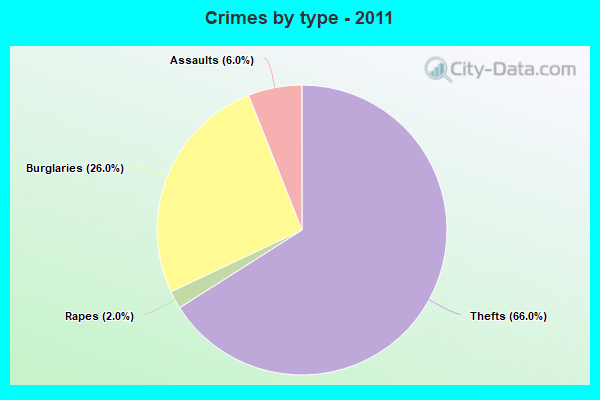 Crimes by type - 2011