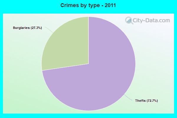 Crimes by type - 2011