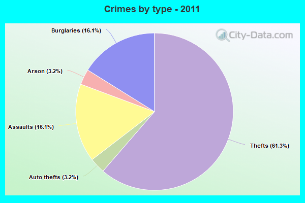 Crimes by type - 2011