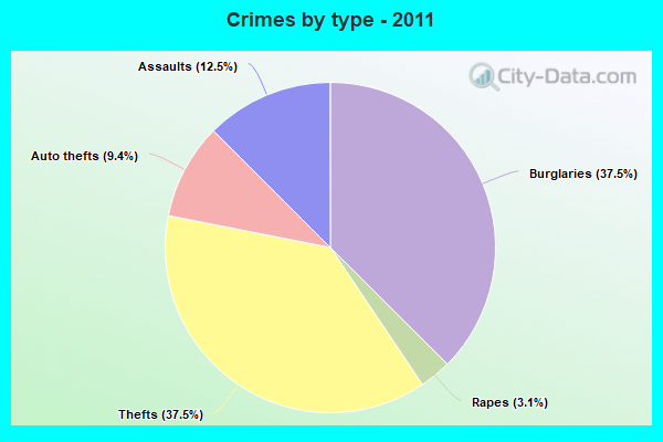 Crimes by type - 2011