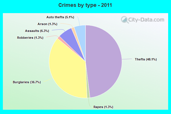 Crimes by type - 2011