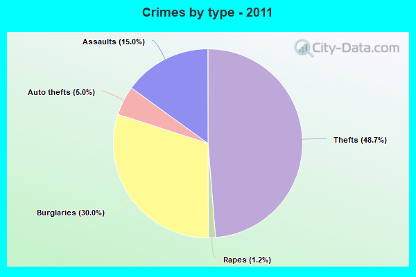 Crimes by type - 2011