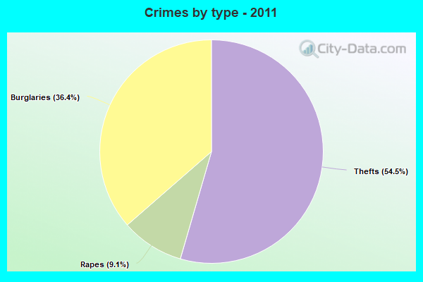 Crimes by type - 2011