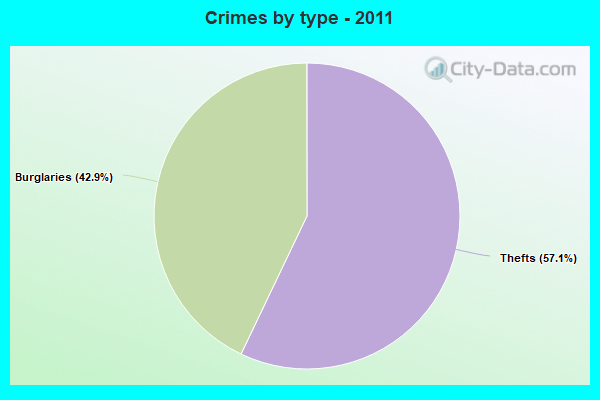 Crimes by type - 2011