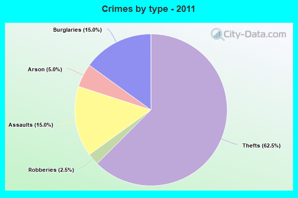 Crimes by type - 2011