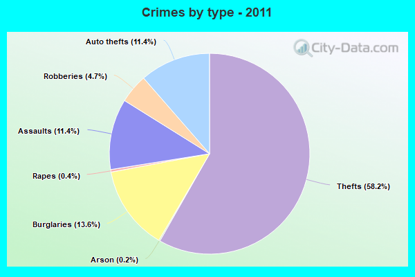 Crimes by type - 2011