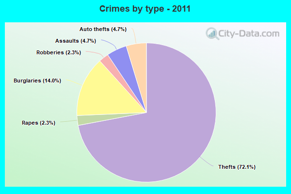 Crimes by type - 2011