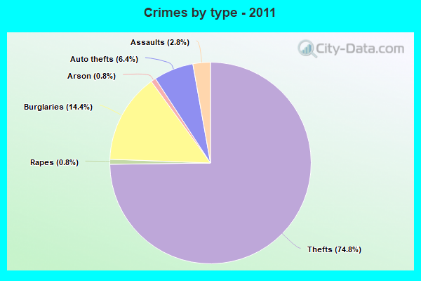 Crimes by type - 2011