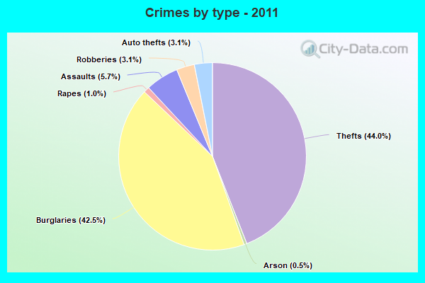 Crimes by type - 2011