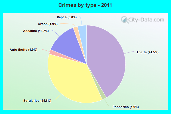 Crimes by type - 2011