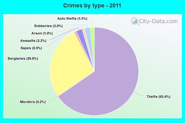 Crimes by type - 2011