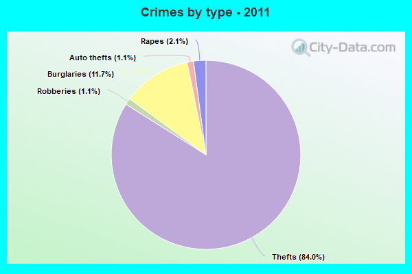 Crimes by type - 2011