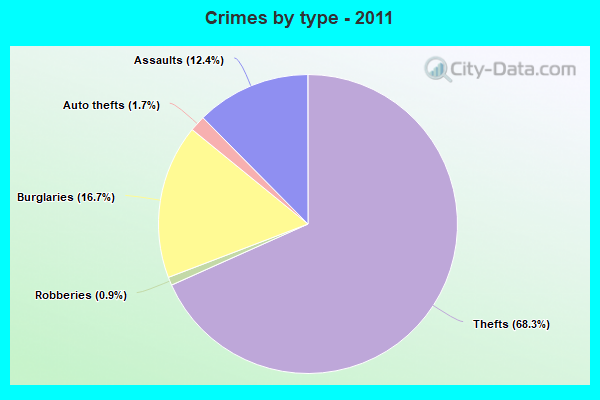 Crimes by type - 2011