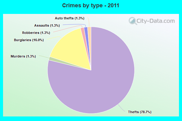 Crimes by type - 2011