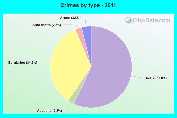 Crimes by type - 2011